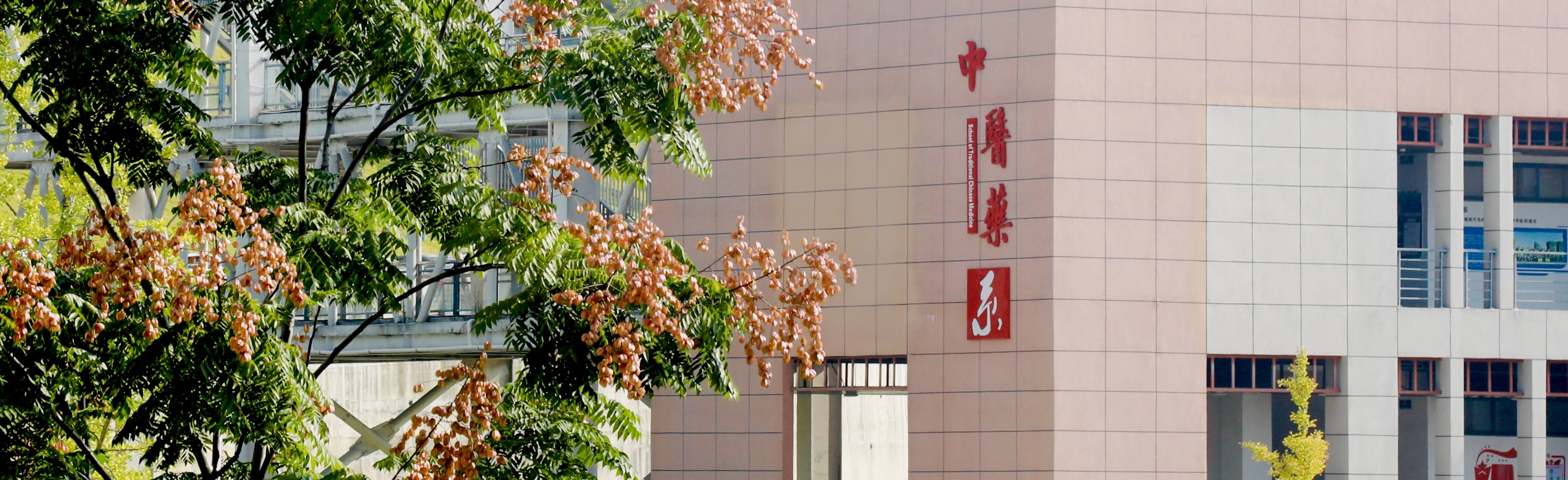 校园风景